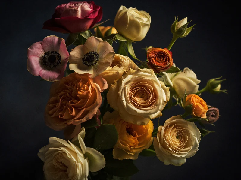 Ilustrație de detaliu: material și textură din universul floral al brandului